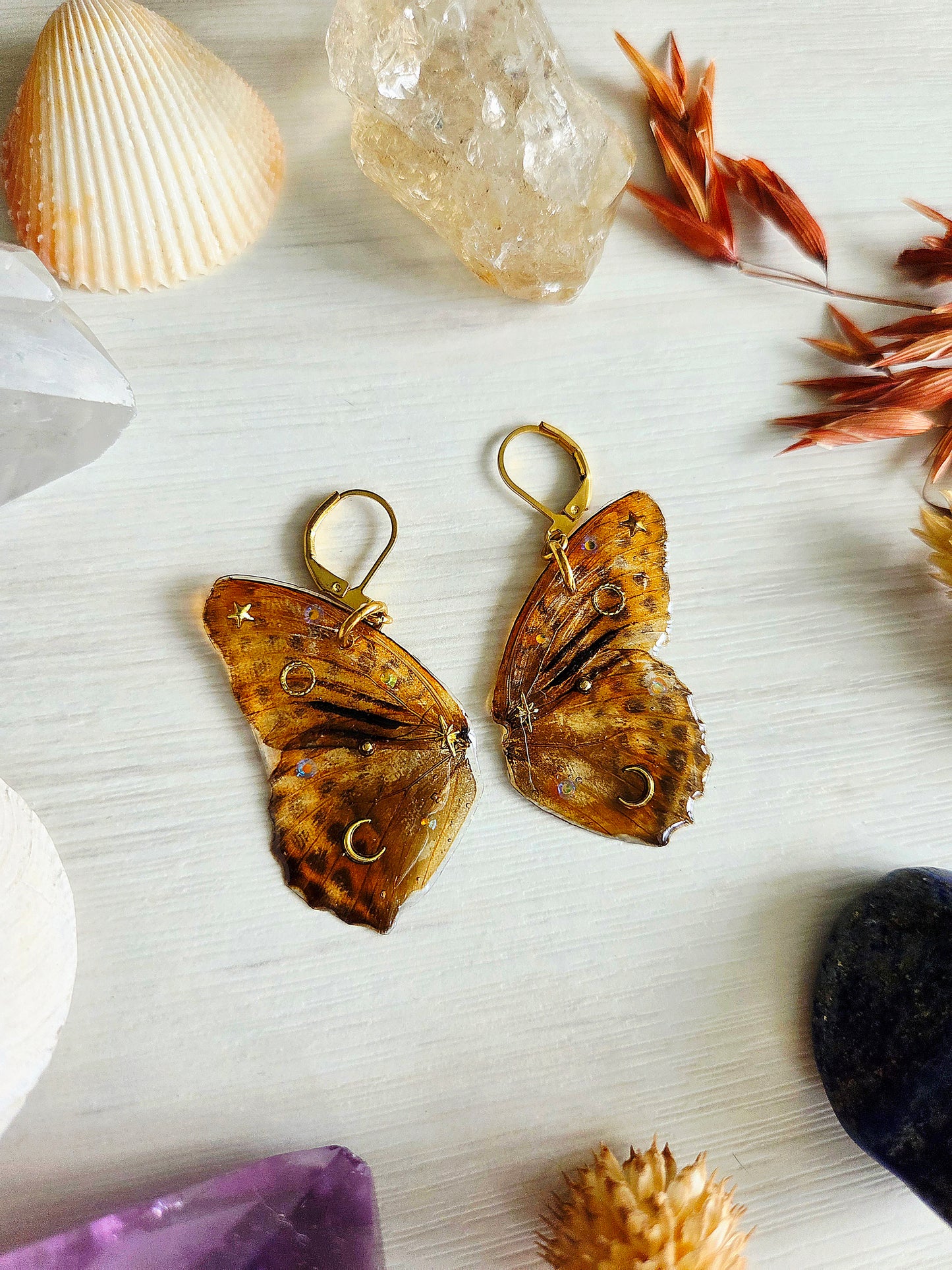 Mariposas