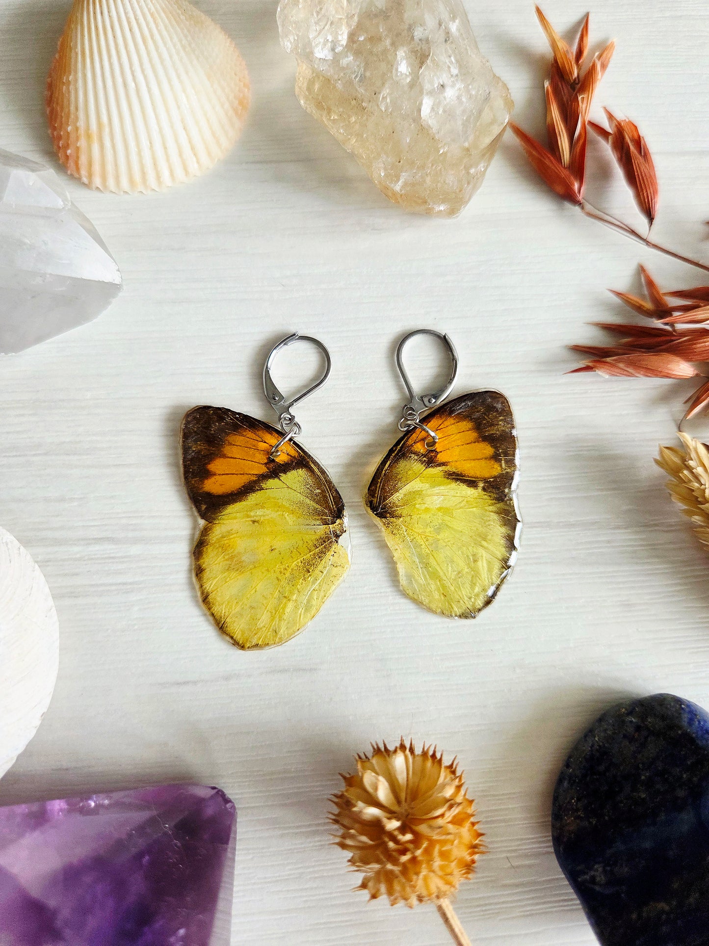 Mariposas